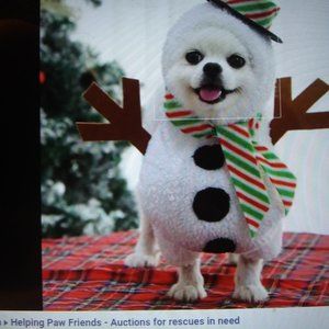 Meet your Posher, Sparky